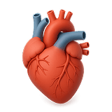 Cardiovascular Health