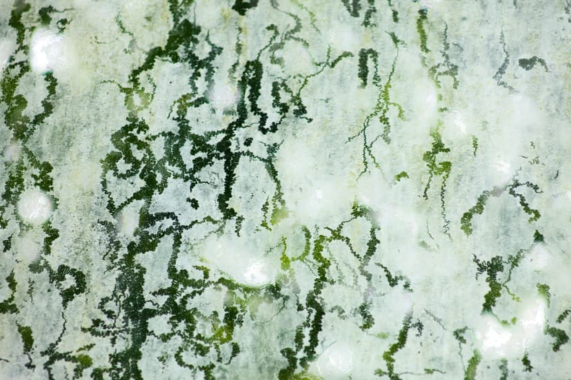 MycoTOX Profile Explained: Testing for Mold Toxin Exposure